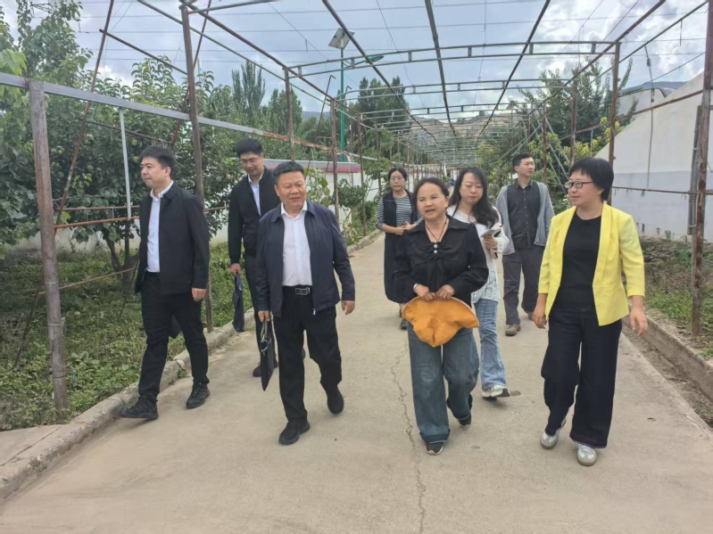 微信图片_20250917103356_1.jpg